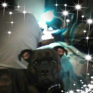 Meet your Posher, Ronald